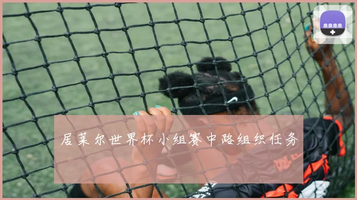 居莱尔世界杯小组赛中路组织任务
