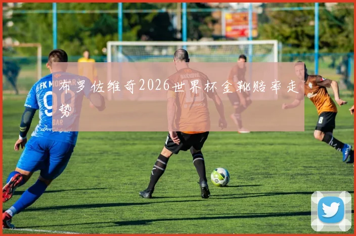 布罗佐维奇2026世界杯金靴赔率走势