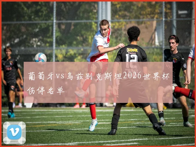 葡萄牙vs乌兹别克斯坦2026世界杯伤停名单