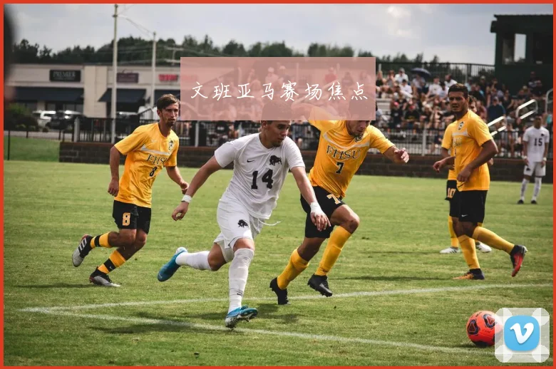 文班亚马赛场焦点