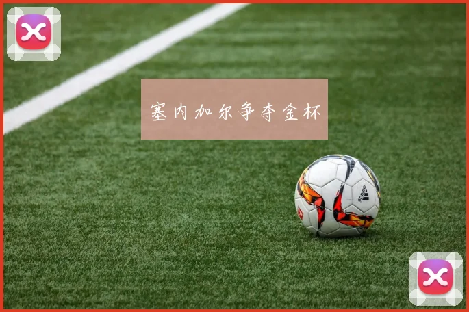 塞内加尔争夺金杯