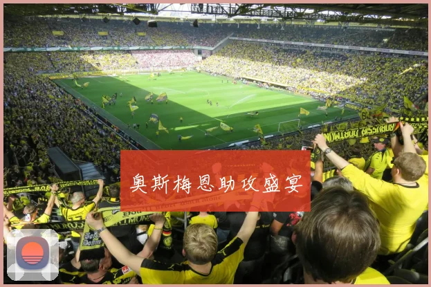 奥斯梅恩助攻盛宴