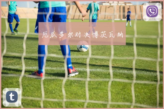 厄瓜多尔对决博茨瓦纳