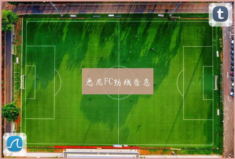 悉尼FC防线告急