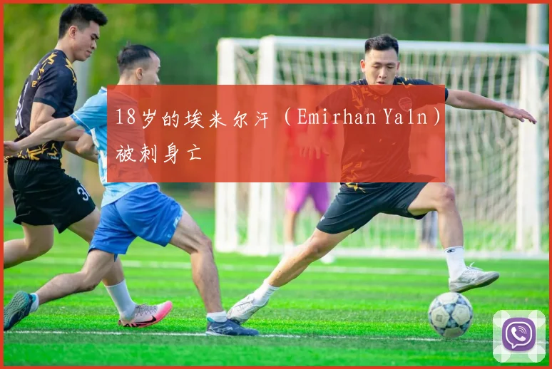 18岁的埃米尔汗（Emirhan Yaln）被刺身亡