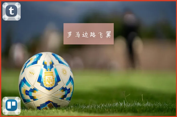 罗马边路飞翼