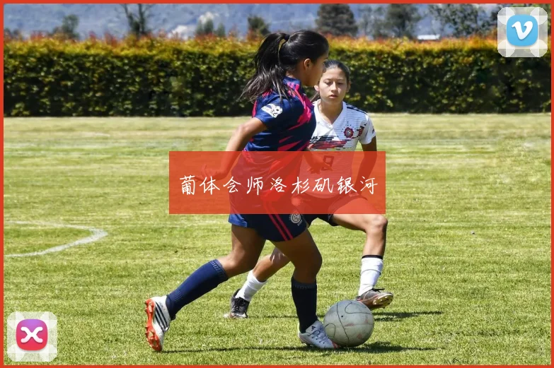 葡体会师洛杉矶银河