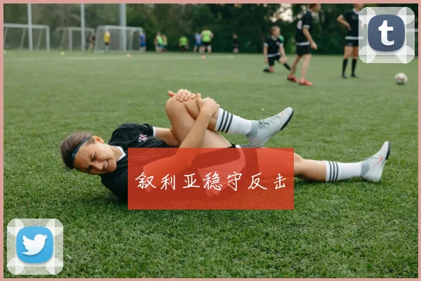 叙利亚稳守反击