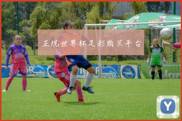 正规世界杯足彩购买平台
