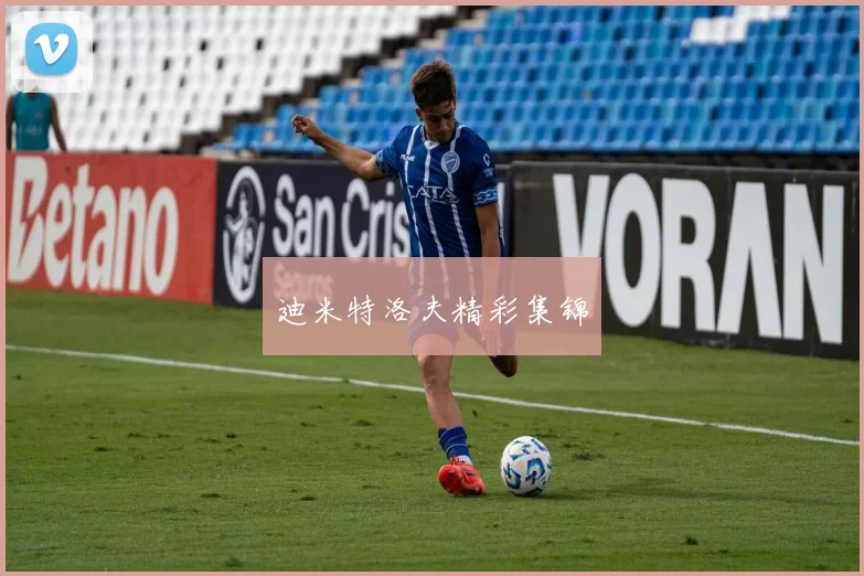迪米特洛夫精彩集锦