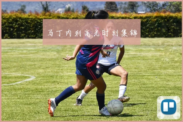 马丁内利高光时刻集锦