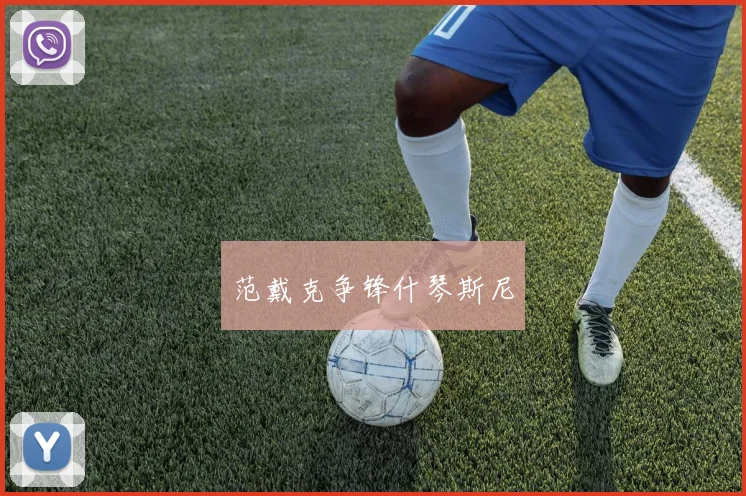 范戴克争锋什琴斯尼