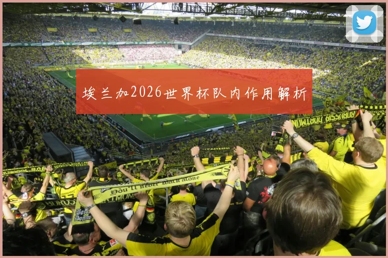 埃兰加2026世界杯队内作用解析
