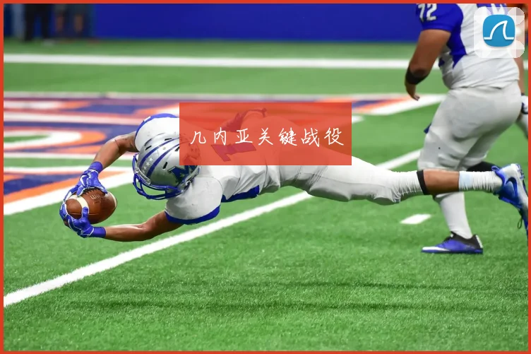 几内亚关键战役