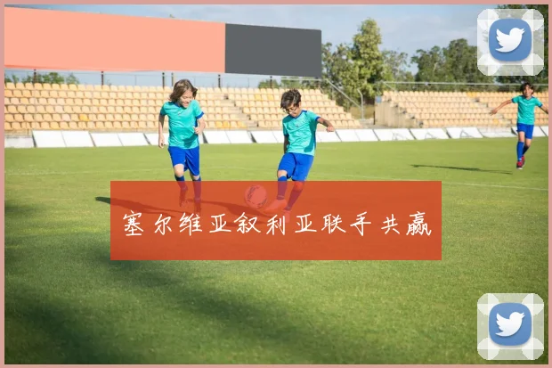 塞尔维亚叙利亚联手共赢