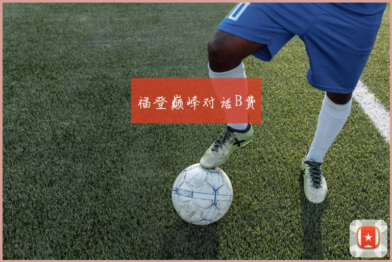 福登巅峰对话B费