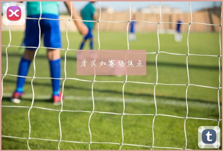 牙买加赛场焦点
