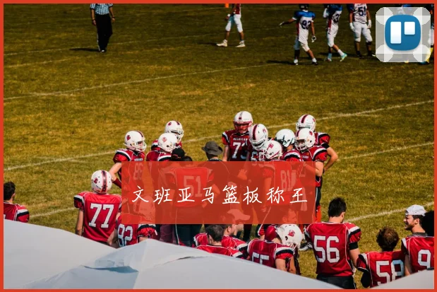文班亚马篮板称王