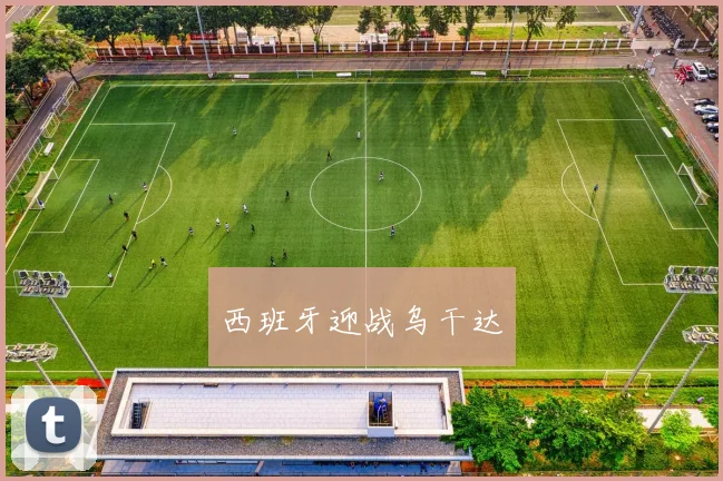 西班牙迎战乌干达