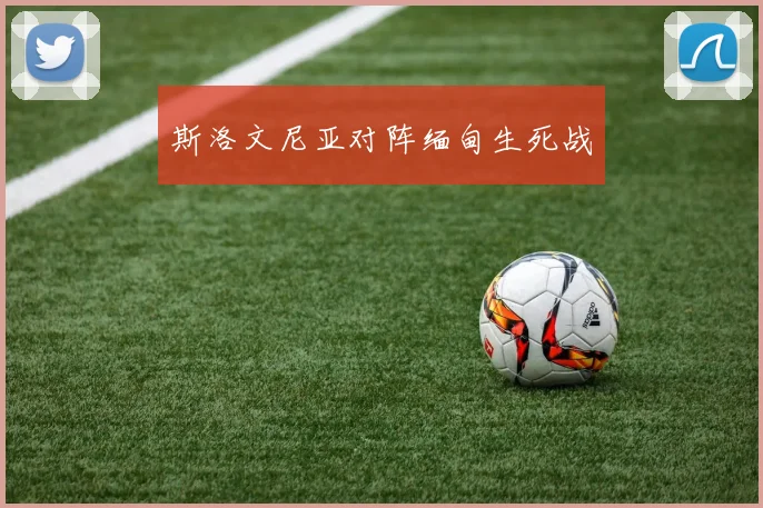 斯洛文尼亚对阵缅甸生死战
