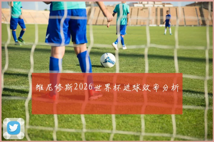 维尼修斯2026世界杯进球效率分析