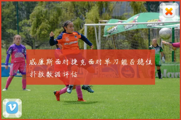 威廉斯面对捷克面对单刀能否稳住扑救数据评估