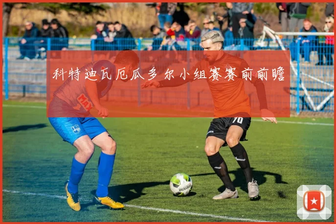 科特迪瓦厄瓜多尔小组赛赛前前瞻