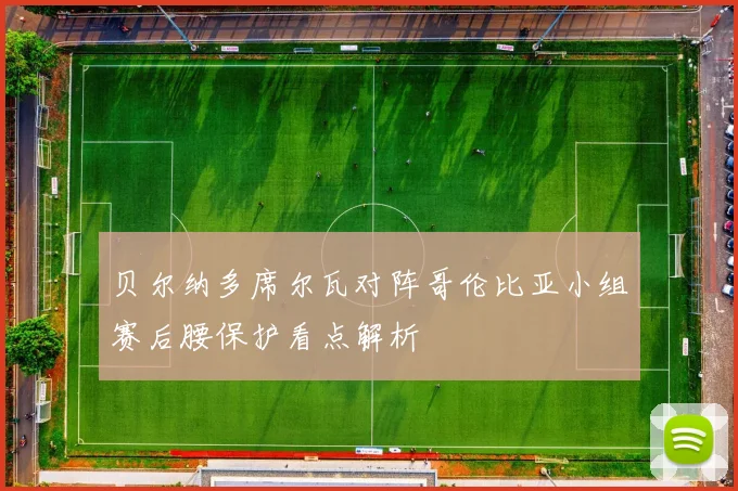 贝尔纳多席尔瓦对阵哥伦比亚小组赛后腰保护看点解析