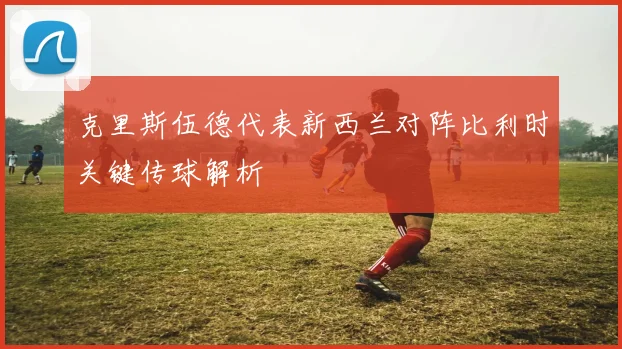 克里斯伍德代表新西兰对阵比利时关键传球解析