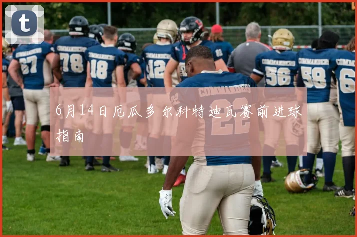 6月14日厄瓜多尔科特迪瓦赛前进球指南
